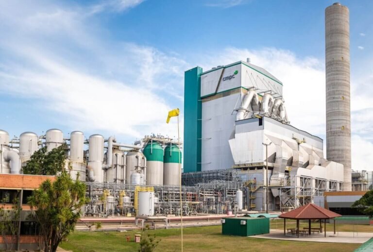 Associações de Engenheiros Florestais de SC manifestam apoio ao Projeto Natureza da CMPC