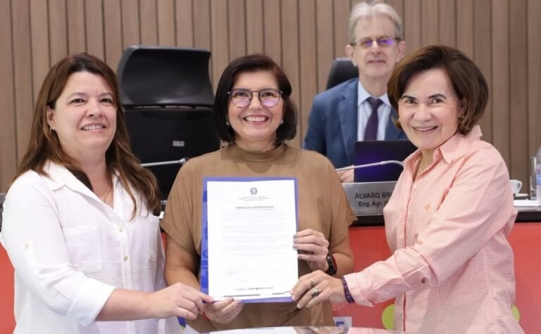 Confea renova compromisso institucional de combate à violência contra as mulheres